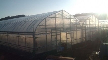 �摜(435x241)�E�g��摜(640x355)