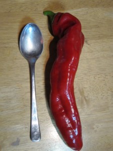 画像(225x300)・拡大画像(480x640)