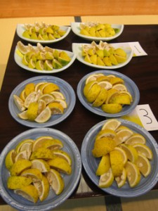 画像(225x300)・拡大画像(255x340)