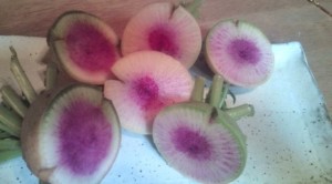 �摜(300x166)�E�g��摜(640x355)