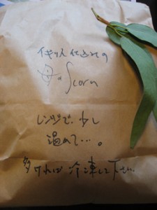 �摜(225x300)�E�g��摜(255x340)