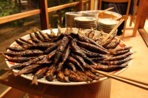 画像(300x200)・拡大画像(354x236)