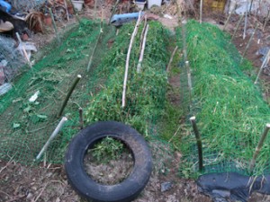 画像(300x225)・拡大画像(340x255)