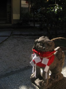 画像(225x300)・拡大画像(255x340)