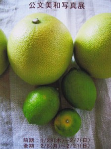 画像(224x300)・拡大画像(276x369)