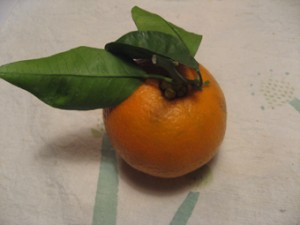 画像(300x225)・拡大画像(340x255)