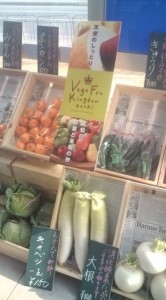 画像(166x300)・拡大画像(355x640)