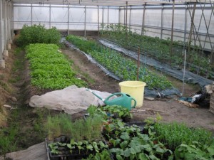 �摜(300x225)�E�g��摜(640x480)