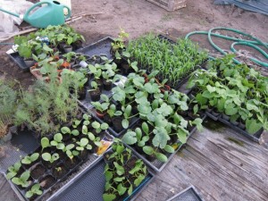 �摜(300x225)�E�g��摜(640x480)