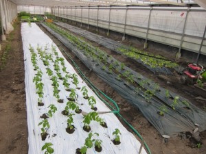 �摜(300x225)�E�g��摜(640x480)