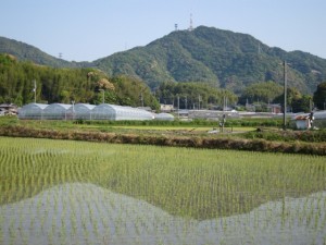 �摜(300x225)�E�g��摜(640x480)