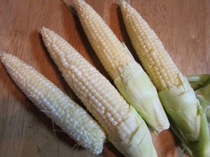 �摜(300x225)�E�g��摜(640x480)