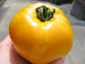 �摜(300x225)�E�g��摜(640x480)