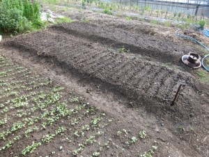 画像(300x225)・拡大画像(640x480)