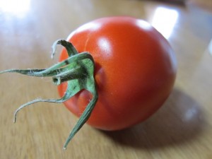 画像(300x225)・拡大画像(640x480)