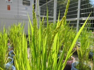 �摜(300x225)�E�g��摜(640x480)