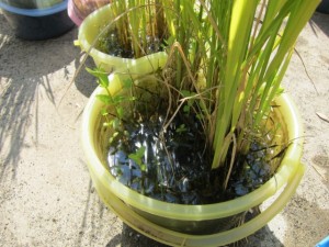 �摜(300x225)�E�g��摜(640x480)