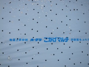 �摜(300x225)�E�g��摜(640x480)