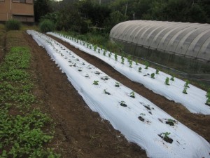 �摜(300x225)�E�g��摜(640x480)