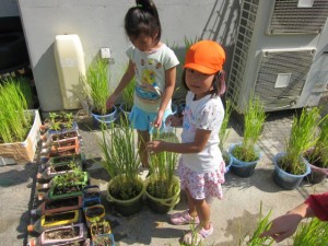 �摜(300x225)�E�g��摜(640x480)