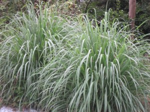 �摜(300x225)�E�g��摜(640x480)