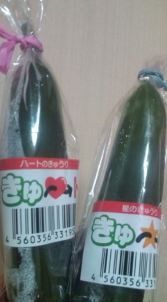 �摜(241x435)�E�g��摜(355x640)