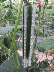 �摜(225x300)�E�g��摜(480x640)