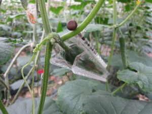 �摜(300x225)�E�g��摜(640x480)