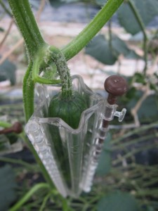 �摜(225x300)�E�g��摜(480x640)