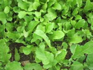 �摜(300x225)�E�g��摜(640x480)