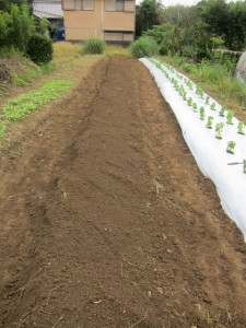 �摜(225x300)�E�g��摜(480x640)