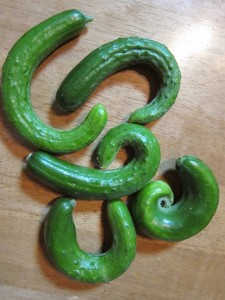 �摜(225x300)�E�g��摜(480x640)