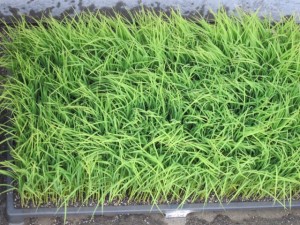 �摜(300x225)�E�g��摜(640x480)