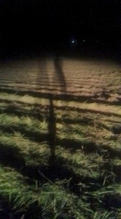 �摜(241x435)�E�g��摜(355x640)