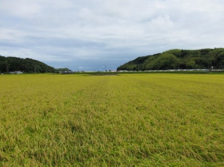 �摜(435x326)�E�g��摜(640x480)