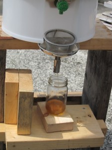 画像(225x300)・拡大画像(480x640)