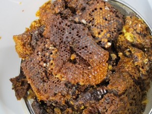 画像(300x225)・拡大画像(640x480)