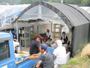 画像(300x225)・拡大画像(640x480)