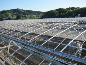 画像(300x225)・拡大画像(640x480)