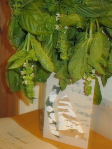 �摜(225x300)�E�g��摜(480x640)