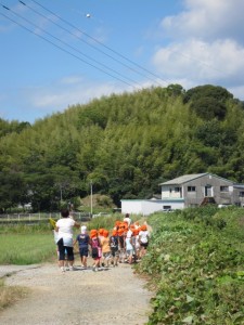 画像(225x300)・拡大画像(480x640)