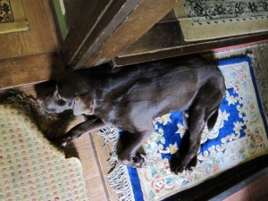 画像(300x225)・拡大画像(640x480)