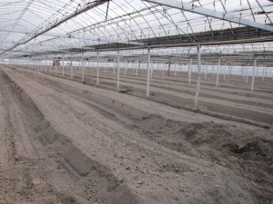 �摜(300x225)�E�g��摜(640x480)