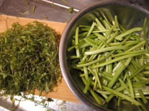 �摜(300x225)�E�g��摜(640x480)