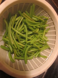 �摜(225x300)�E�g��摜(480x640)