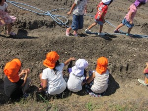 画像(300x225)・拡大画像(640x480)