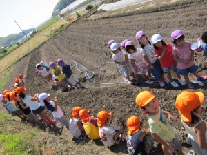 画像(300x225)・拡大画像(640x480)