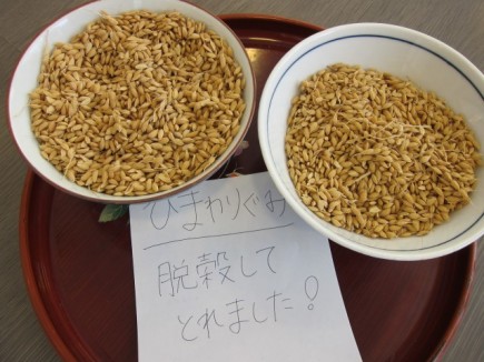 �摜(435x326)�E�g��摜(640x480)