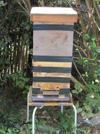 画像(326x435)・拡大画像(480x640)