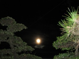 �摜(300x225)�E�g��摜(640x480)